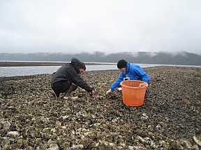 allison-and-david allison-and-david