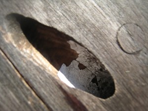 calcareous-substance calcareous-substance