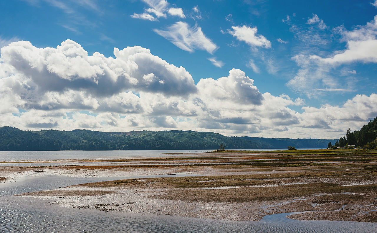 Hama Hama beach photo by Jenn Repp