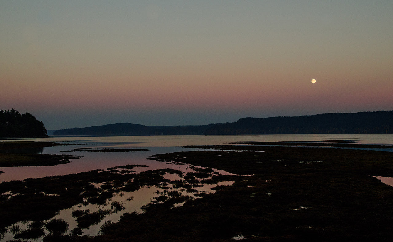 Full Moon over the Oyster Farm, photo by Jeff Scott Shaw