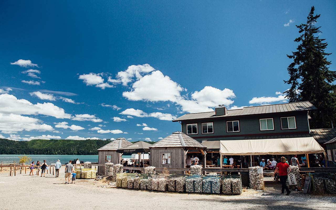 image of people walking around the saloon by the Hood Canal
