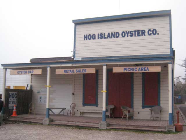 hogisland1