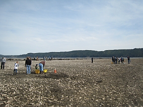 open-farm-3 open-farm-3