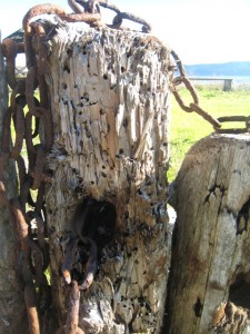 pilingsmall pilingsmall