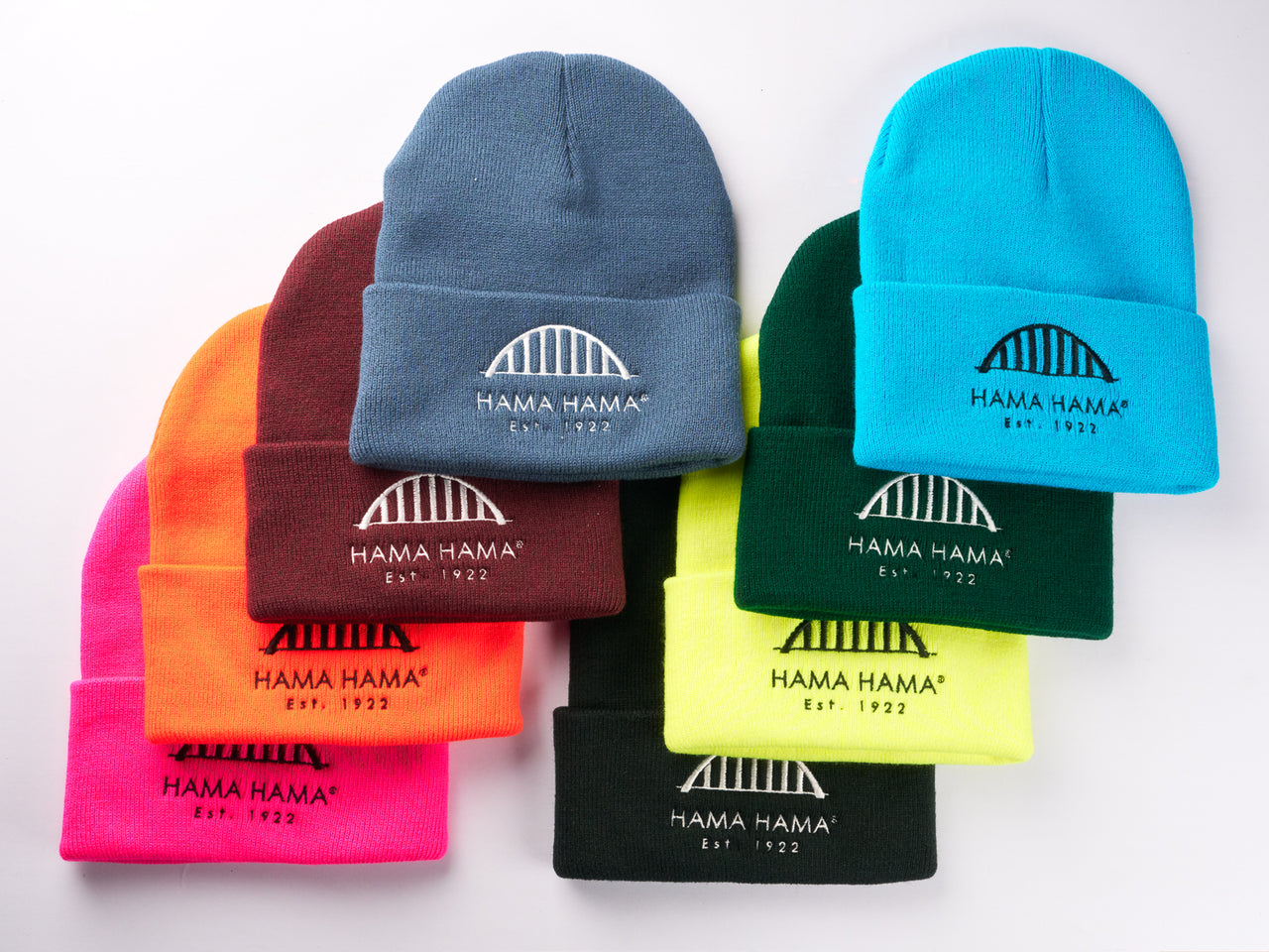 Bridge Beanie