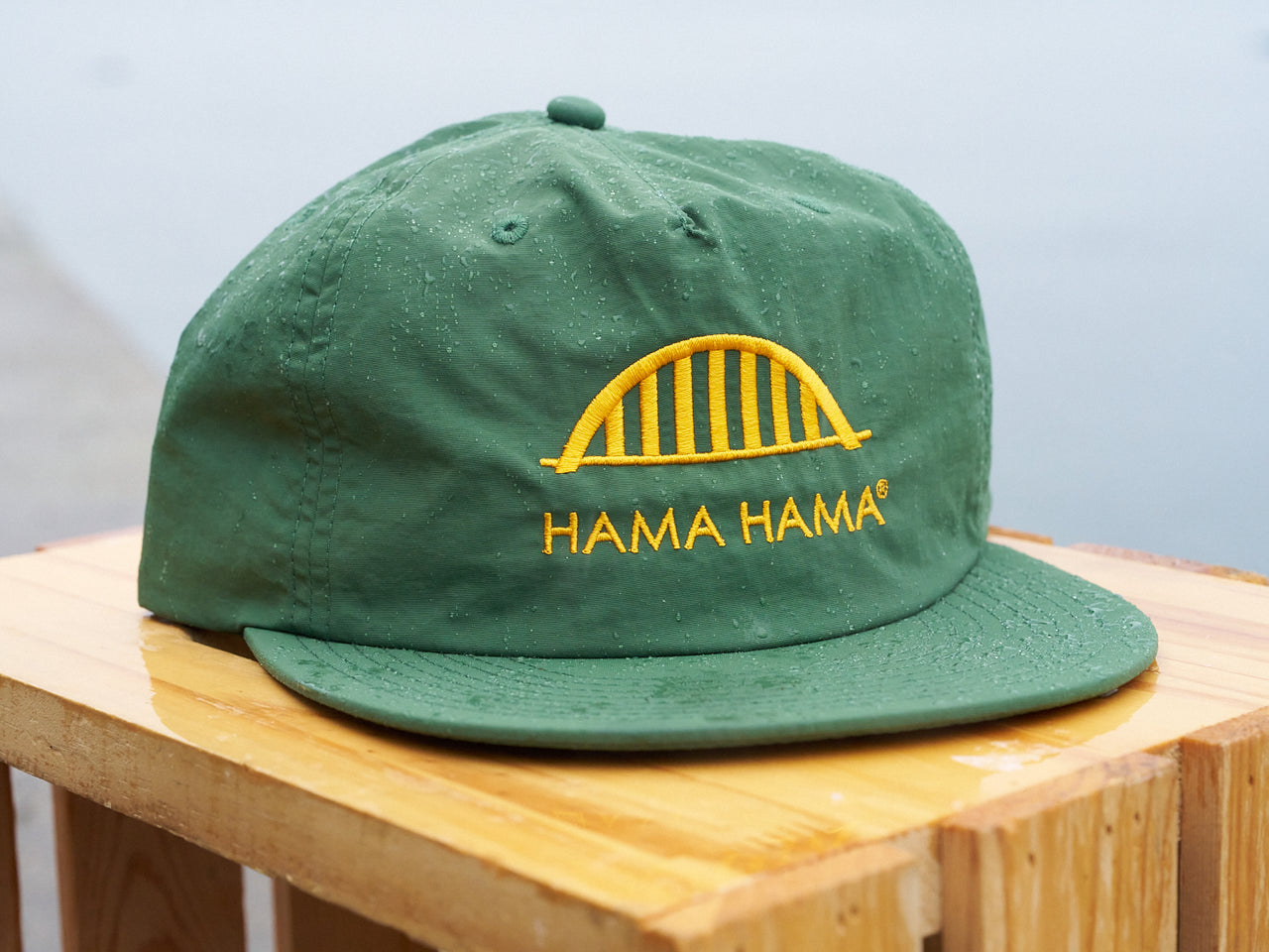 Bridge Logo Surf Cap