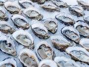 close up of extra small oysters on the half shell on a bed of ice