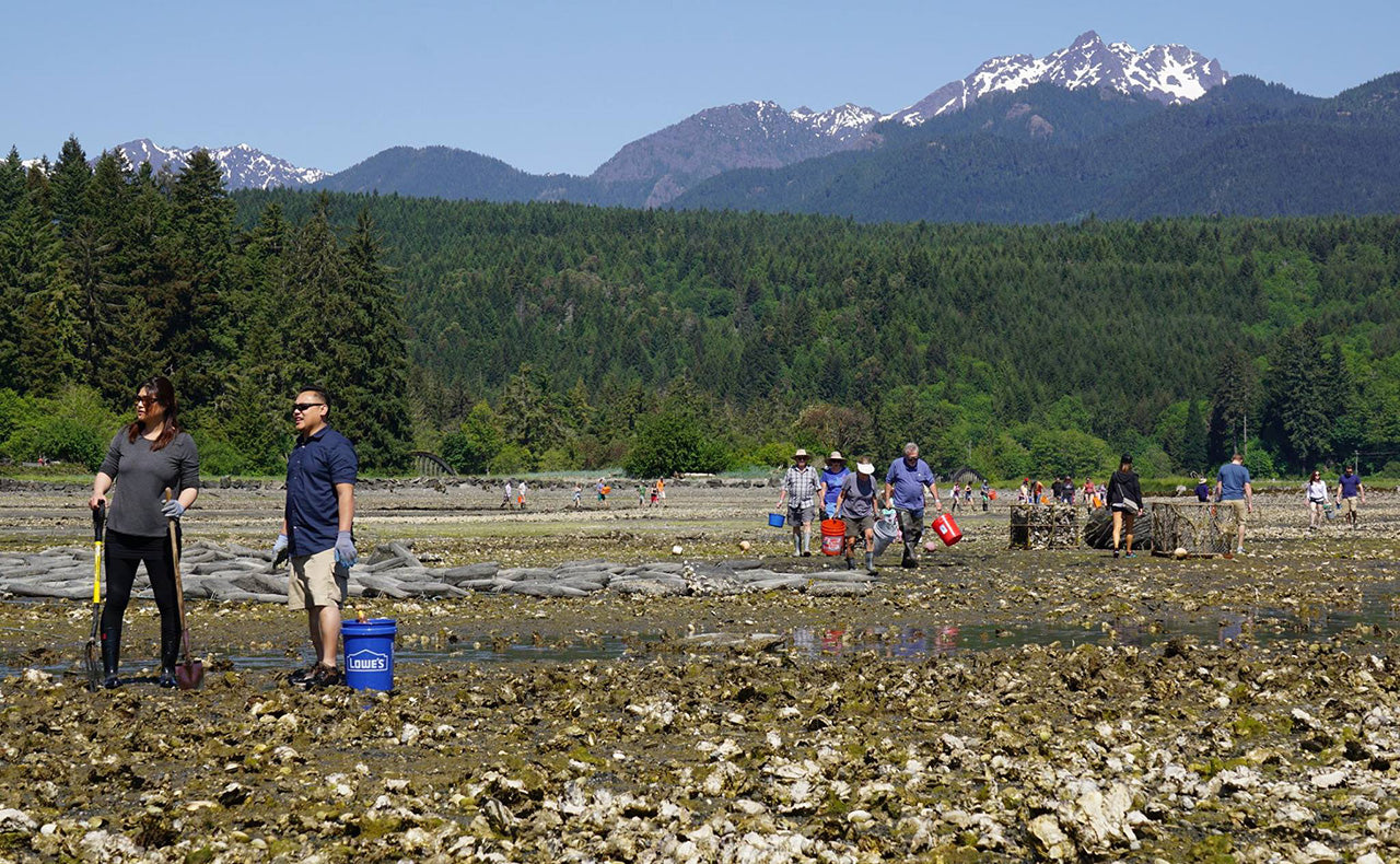 Oyster Rama photo by Terrence Allison