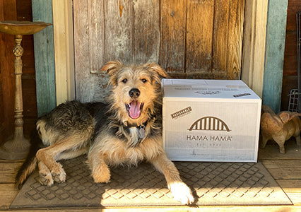 cute dog sitting next to a Hama Hama box on a doorstep
