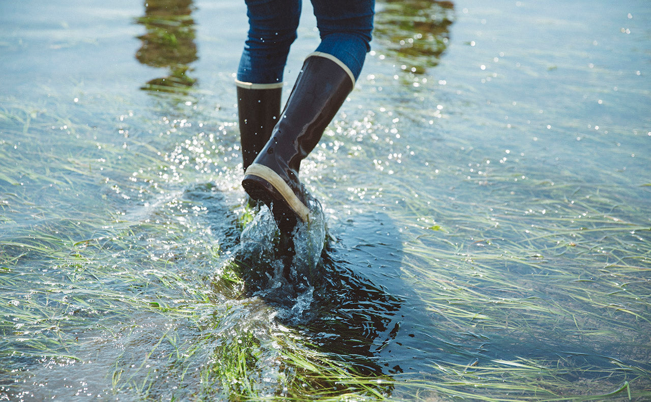 Beach walk photo by Laura Dart