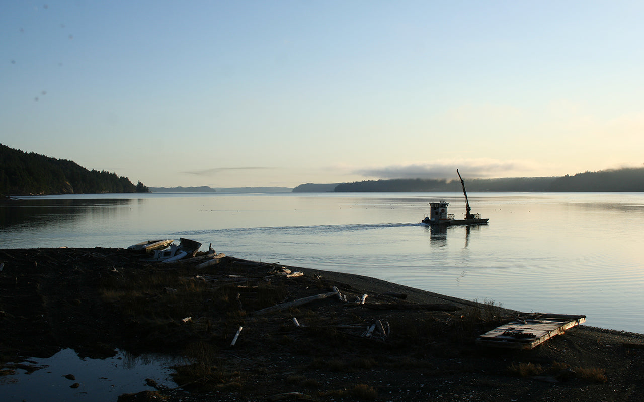 when the tide comes in, the barge crew heads out to collect the harvest and bring it to shore