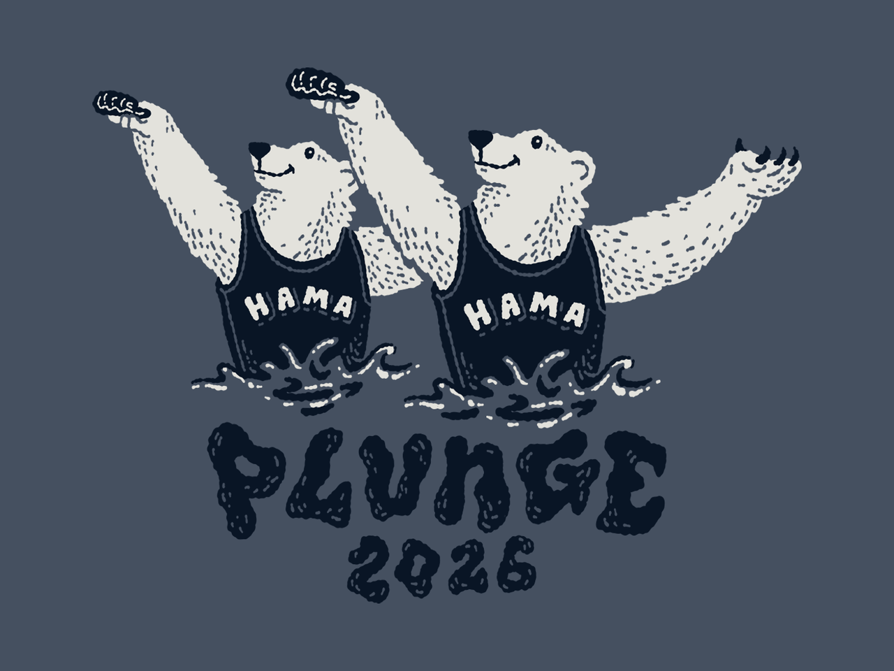 2026 Polar Plunge